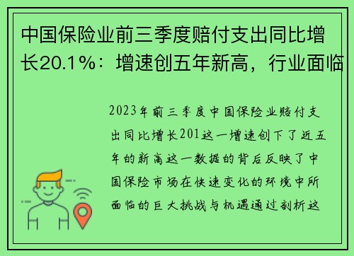 中国保险业前三季度赔付支出同比增长20.1%：增速创五年新高，行业面临新机遇